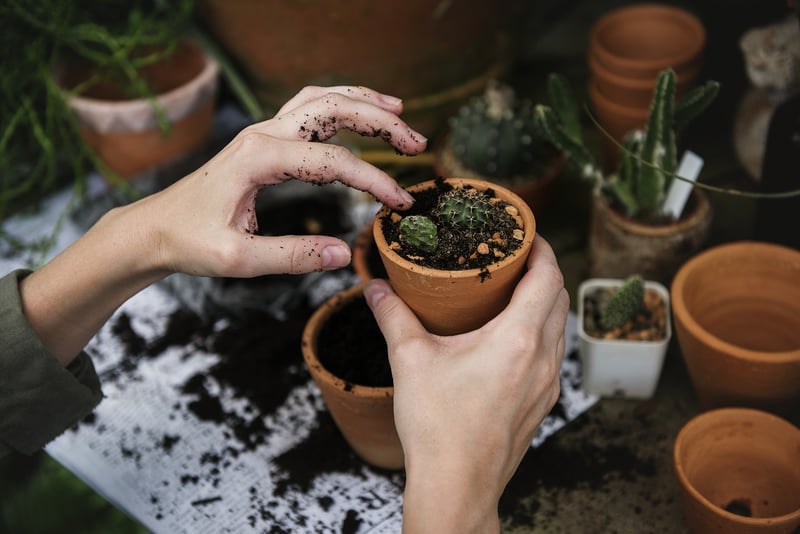 Soil Mix